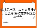 攀枝花学院主攻方向是什么，怎么样(攀枝花学院优势与特色)
