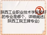 陕西工业职业技术学院最好的专业是哪个，详细阐述(陕西工院王牌专业)