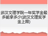 武汉文理学院一年奖学金最多能拿多少(武汉文理奖学金上限)