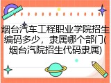 烟台汽车工程职业学院招生编码多少，隶属哪个部门(烟台汽院招生代码隶属)