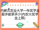 内蒙古农业大学一年奖学金最多能拿多少(内农大奖学金上限)