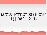 辽宁职业学院是985还是211(非985非211)