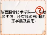 陕西职业技术学院一年学费多少钱，还有哪些费用(陕职学费及费用)
