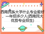 西南民族大学什么专业最好，一年招多少人(西南民大优势专业招生)
