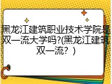 黑龙江建筑职业技术学院是双一流大学吗?(黑龙江建筑双一流？)