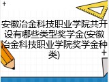 安徽冶金科技职业学院共开设有哪些类型奖学金(安徽冶金科技职业学院奖学金种类)