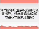 湖南都市职业学院有没有就业指导，好就业吗(湖南都市职业学院就业情况)