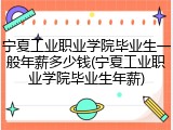 宁夏工业职业学院毕业生一般年薪多少钱(宁夏工业职业学院毕业生年薪)