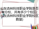 山东杏林科技职业学院是否有分校，共有多少个校区(山东杏林科技职业学院校区数量)