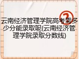 云南经济管理学院高考需多少分能录取呢(云南经济管理学院录取分数线)