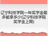辽宁科技学院一年奖学金最多能拿多少(辽宁科技学院奖学金上限)