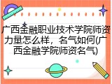 广西金融职业技术学院师资力量怎么样，名气如何(广西金融学院师资名气)