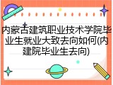 内蒙古建筑职业技术学院毕业生就业大致去向如何(内建院毕业生去向)
