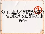文山职业技术学院学校简介，校史概述(文山职院校史简介)