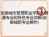 安徽城市管理职业学院的普通专业和特色专业详解(安徽城职专业解析)