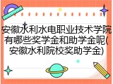 安徽水利水电职业技术学院有哪些奖学金和助学金呢(安徽水利院校奖助学金)