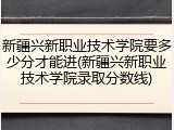 新疆兴新职业技术学院要多少分才能进(新疆兴新职业技术学院录取分数线)