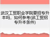 武汉工贸职业学院要招专升本吗，如何参考(武工贸招专升本条件)