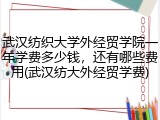 武汉纺织大学外经贸学院一年学费多少钱，还有哪些费用(武汉纺大外经贸学费)