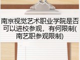 南京视觉艺术职业学院是否可以进校参观，有何限制(南艺职参观限制)