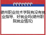 德州职业技术学院有没有就业指导，好就业吗(德州职院就业情况)
