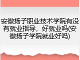 安徽扬子职业技术学院有没有就业指导，好就业吗(安徽扬子学院就业好吗)