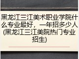 黑龙江三江美术职业学院什么专业最好，一年招多少人(黑龙江三江美院热门专业招生)
