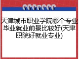 天津城市职业学院哪个专业毕业就业前景比较好(天津职院好就业专业)