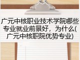 广元中核职业技术学院哪些专业就业前景好，为什么(广元中核职院优势专业)
