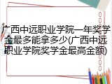 广西中远职业学院一年奖学金最多能拿多少(广西中远职业学院奖学金最高金额)