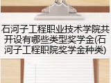 石河子工程职业技术学院共开设有哪些类型奖学金(石河子工程职院奖学金种类)