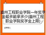 惠州工程职业学院一年奖学金最多能拿多少(惠州工程职业学院奖学金上限)