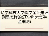 辽宁科技大学奖学金评定细则是怎样的(辽宁科大奖学金细则)
