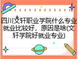 四川文轩职业学院什么专业就业比较好，原因是啥(文轩学院好就业专业)