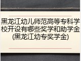 黑龙江幼儿师范高等专科学校开设有哪些奖学和助学金(黑龙江幼专奖学金)