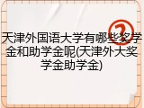 天津外国语大学有哪些奖学金和助学金呢(天津外大奖学金助学金)