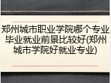 郑州城市职业学院哪个专业毕业就业前景比较好(郑州城市学院好就业专业)