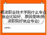 杨凌职业技术学院什么专业就业比较好，原因是啥(杨凌职院好就业专业)
