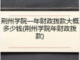 荆州学院一年财政拨款大概多少钱(荆州学院年财政拨款)