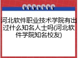 河北软件职业技术学院有出过什么知名人士吗(河北软件学院知名校友)
