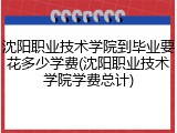 沈阳职业技术学院到毕业要花多少学费(沈阳职业技术学院学费总计)