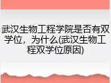 武汉生物工程学院是否有双学位，为什么(武汉生物工程双学位原因)