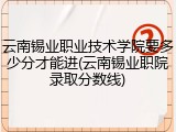 云南锡业职业技术学院要多少分才能进(云南锡业职院录取分数线)