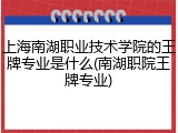 上海南湖职业技术学院的王牌专业是什么(南湖职院王牌专业)