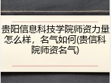 贵阳信息科技学院师资力量怎么样，名气如何(贵信科院师资名气)