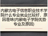 内蒙古电子信息职业技术学院什么专业就业比较好，原因是啥(内蒙电子学院优势专业及原因)