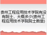 贵州工程应用技术学院有没有院士，大概多少(贵州工程应用技术学院院士数量)