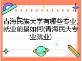 青海民族大学有哪些专业，就业前景如何(青海民大专业就业)