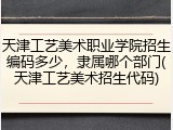 天津工艺美术职业学院招生编码多少，隶属哪个部门(天津工艺美术招生代码)