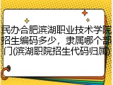 民办合肥滨湖职业技术学院招生编码多少，隶属哪个部门(滨湖职院招生代码归属)